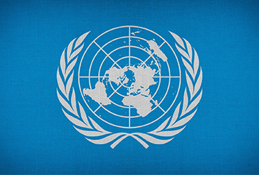 United Nations acknowledges Stiebel Eltron's commitment to climate protection