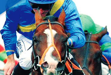 Master Plumbers - World Plumbing Race Day Master Plumbers - World Plumbing Race Day